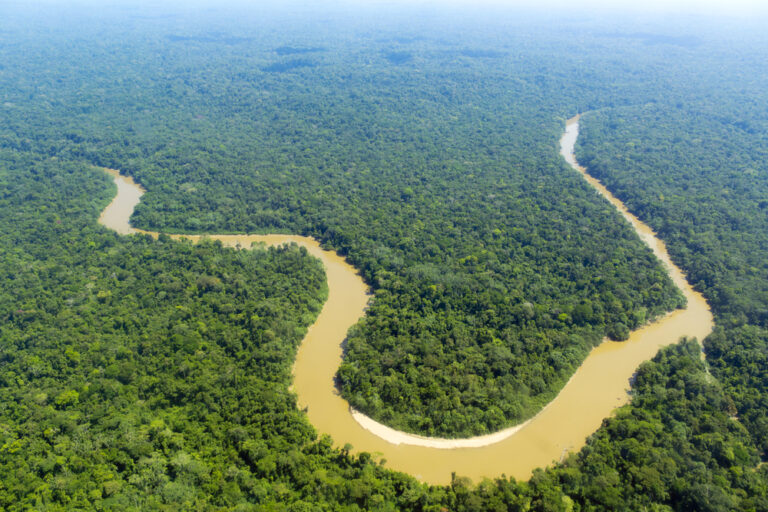 Bassin de l’Amazonie