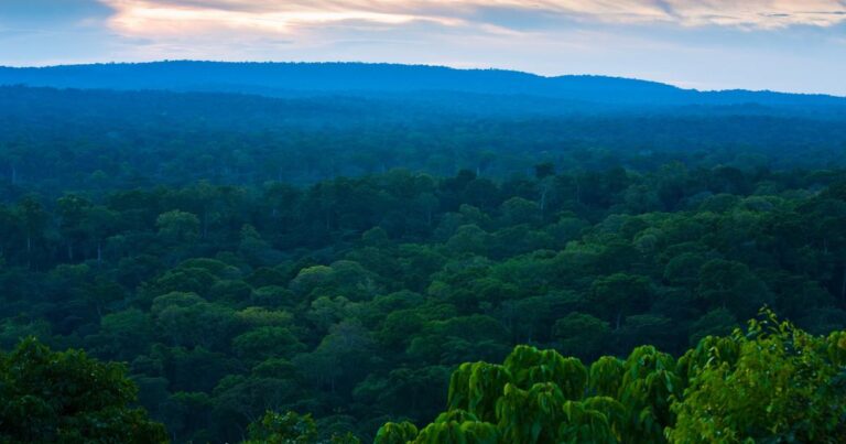 Bassin du CONGO